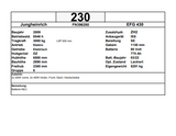 Jungheinrich EFG 430 | ISS