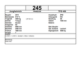 Jungheinrich TFG 430 | ISS