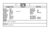 Jungheinrich TFG 316 | ISS